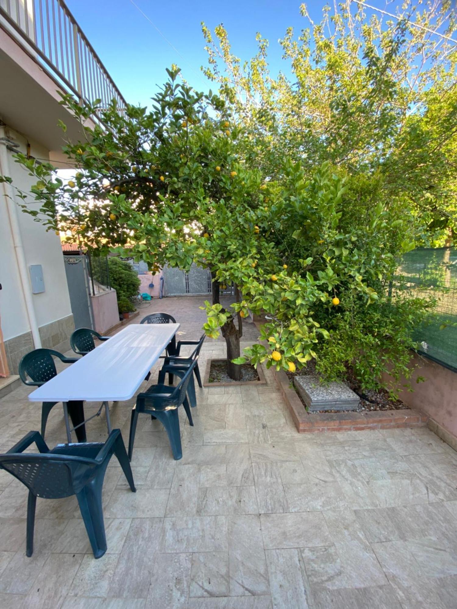 L'Albero Di Limoni Sul Mare Di Pizzo Villa Dış mekan fotoğraf