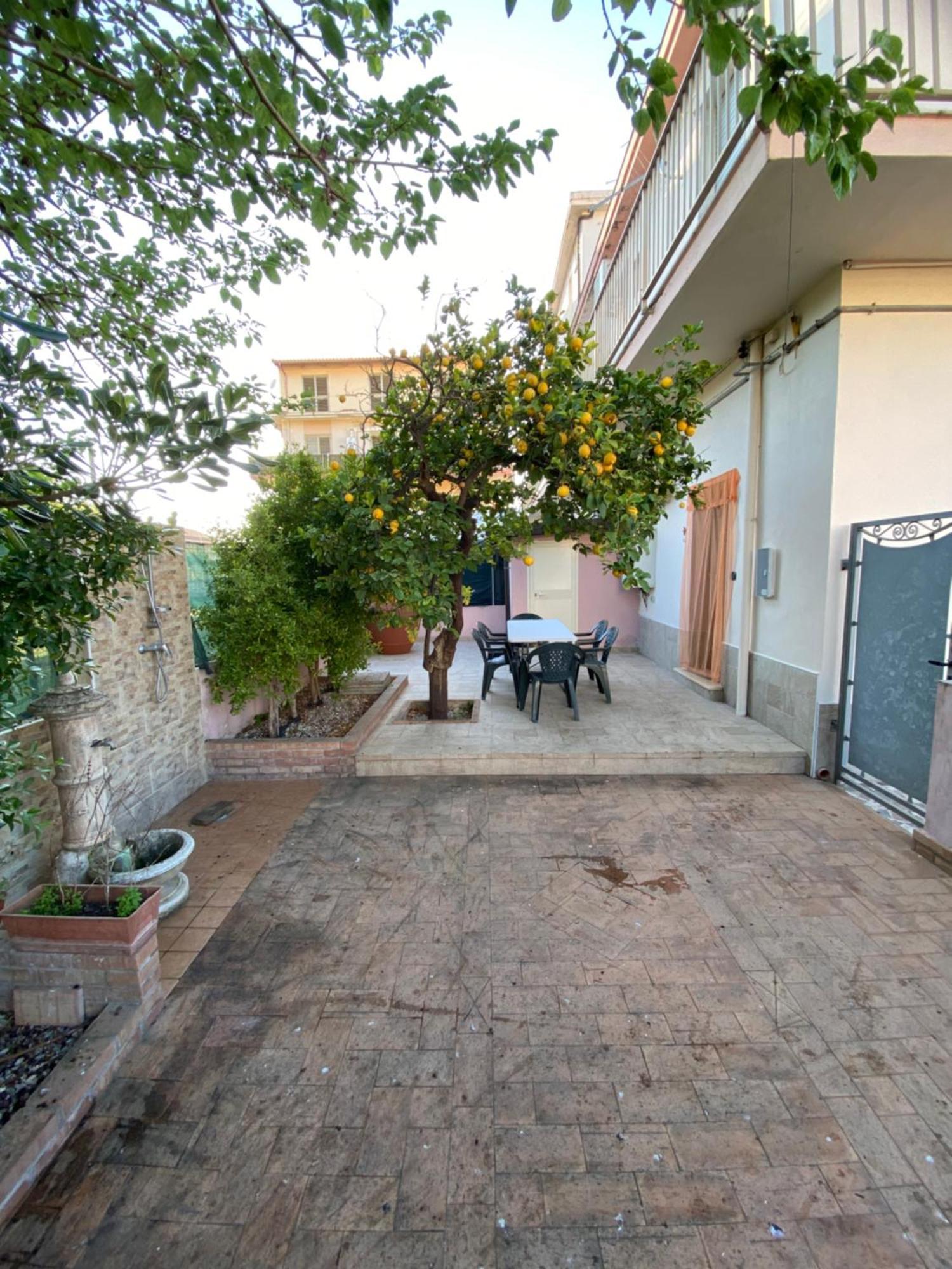 L'Albero Di Limoni Sul Mare Di Pizzo Villa Dış mekan fotoğraf